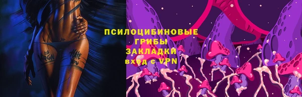 каннабис Новокубанск