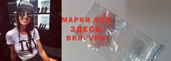 трава Новодвинск