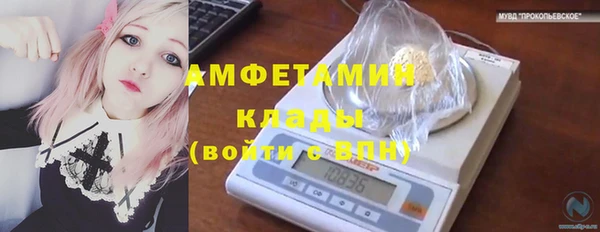 трава Новодвинск