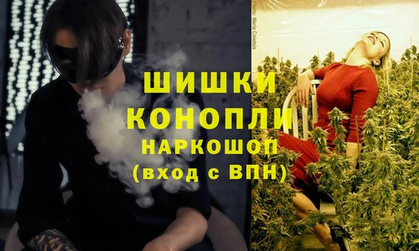 дурь Новозыбков
