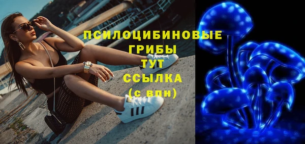 трава Новодвинск