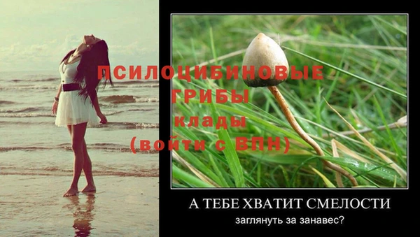 каннабис Новокубанск