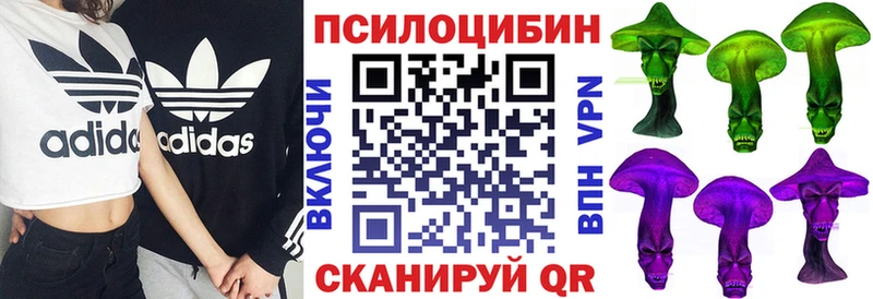 ссылка на мегу вход  где продают   Таштагол  Галлюциногенные грибы Psilocybe 